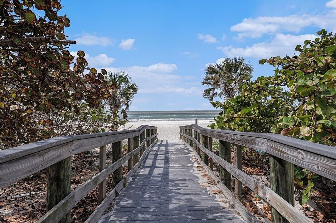 Photo of Others in Indian Shores