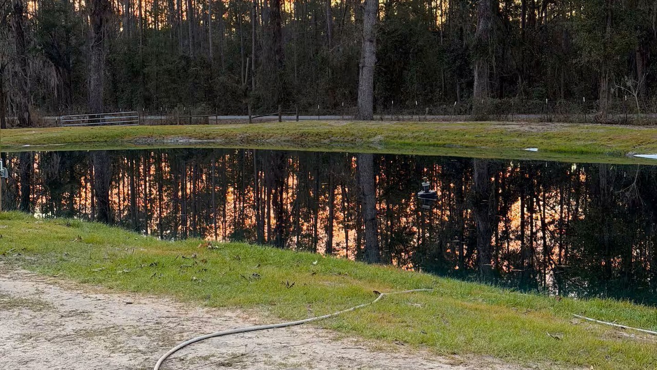 Photo of Others in Boys Ranch