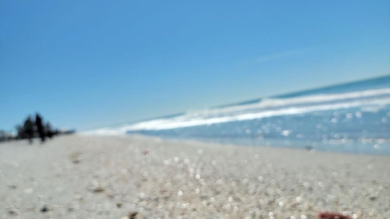 Photo of Others in Palm Island