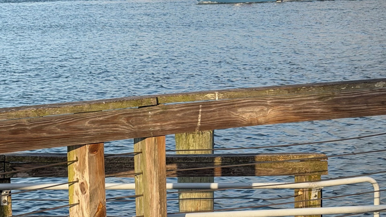 Photo of Others in New Smyrna Beach