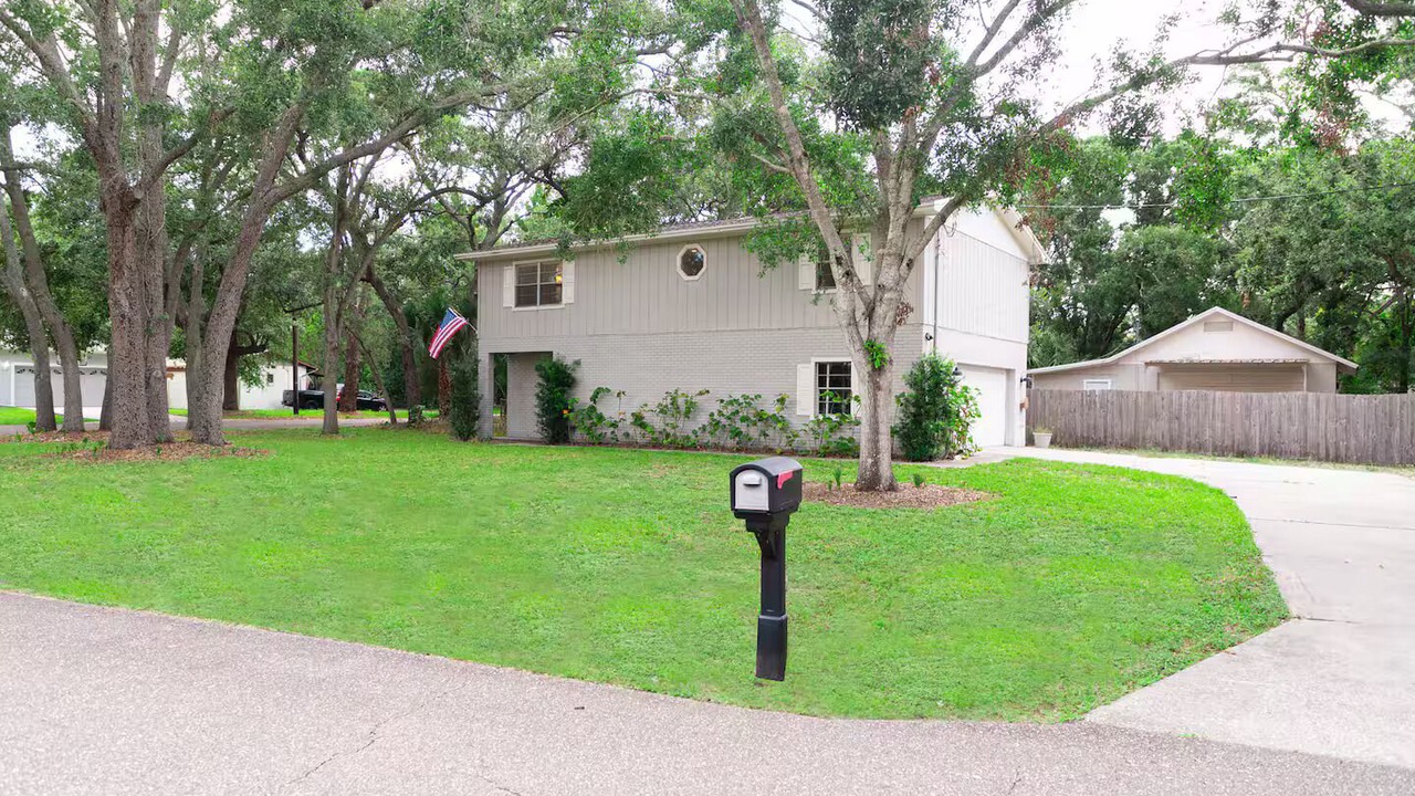 Photo of Outdoor in Oldsmar