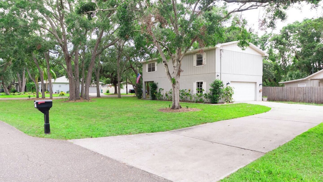 Photo of Outdoor in Oldsmar