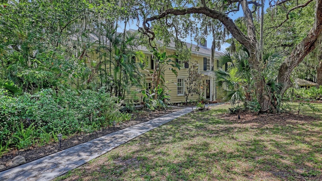 Photo of Outdoor in Tropic