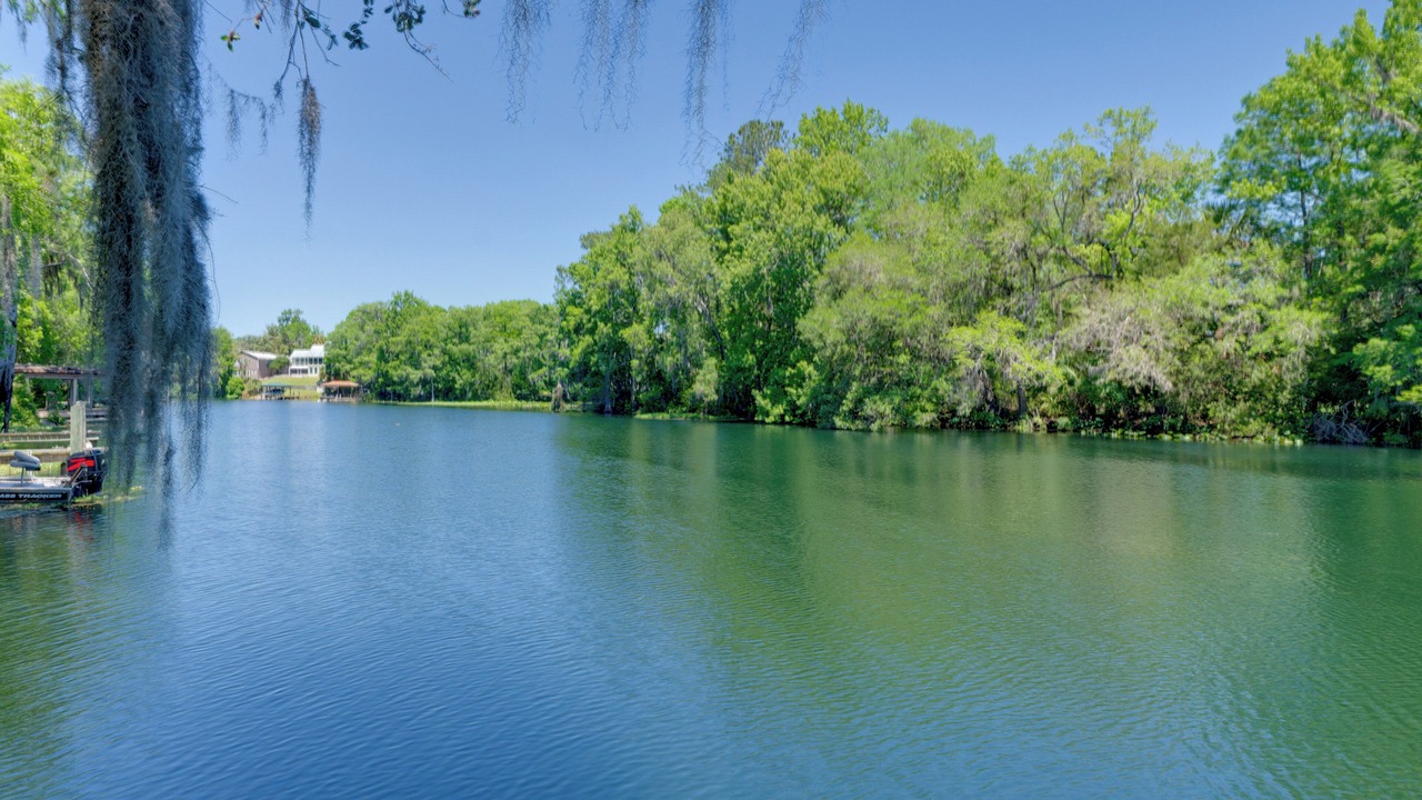 Photo of Others in Citrus Springs