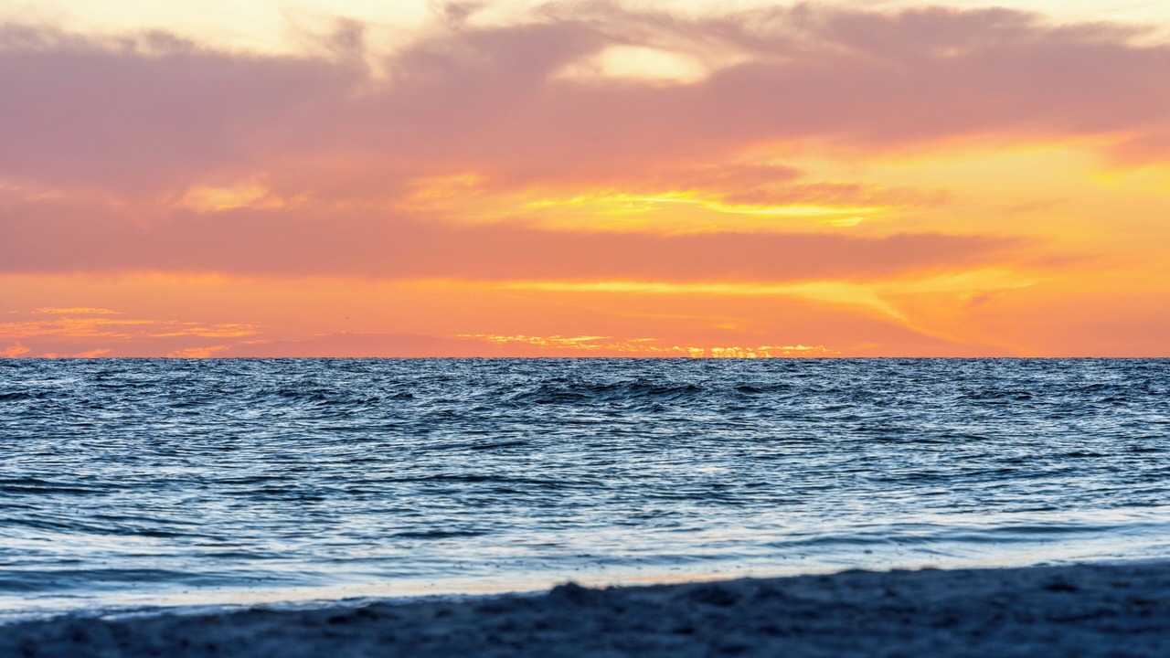 Photo of Others in Anna Maria