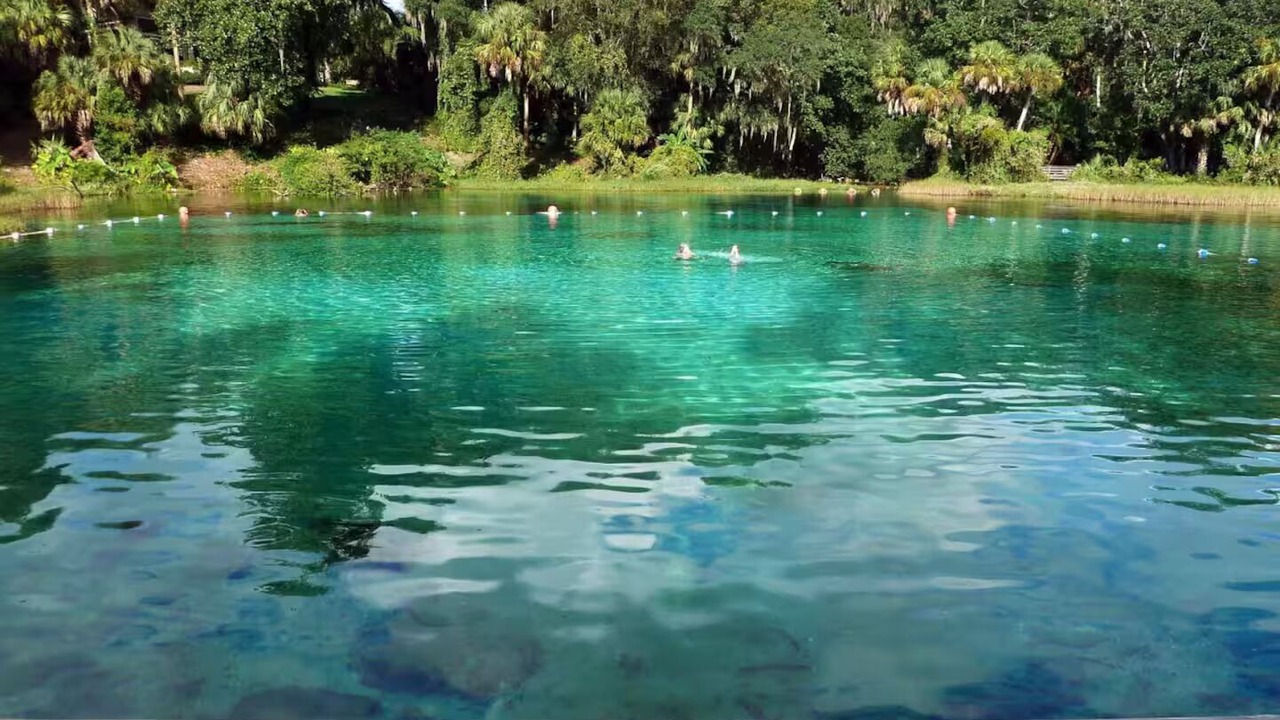 Photo of Others in Dunnellon