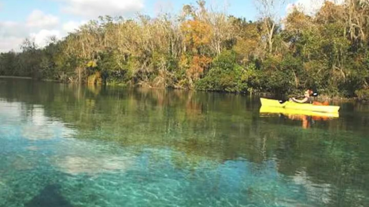 Photo of Others in Dunnellon
