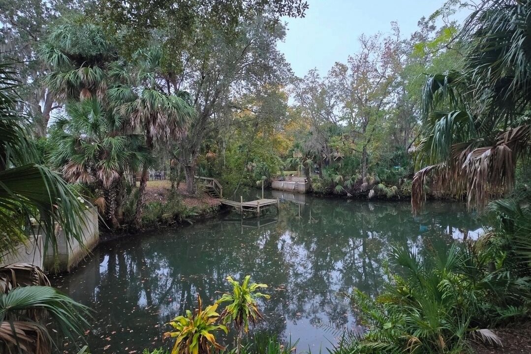 Photo of Others in Weeki Wachee Gardens