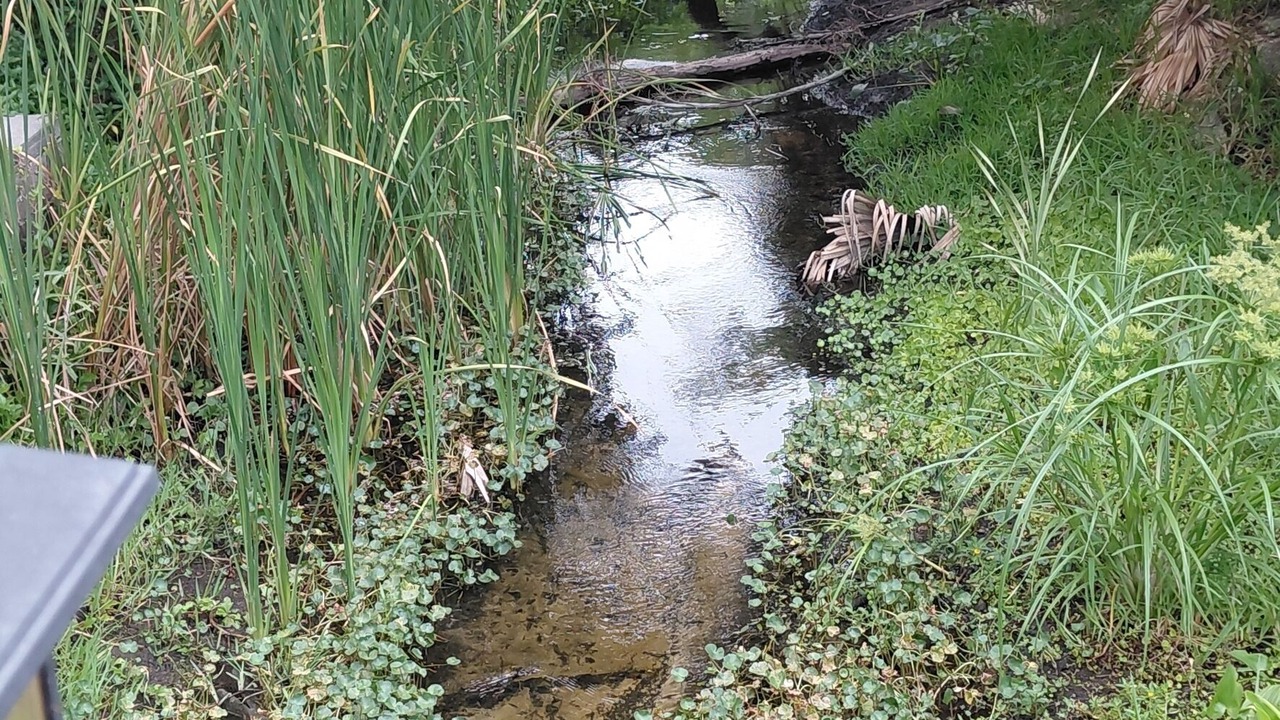 Photo of Outdoor in Port Richey