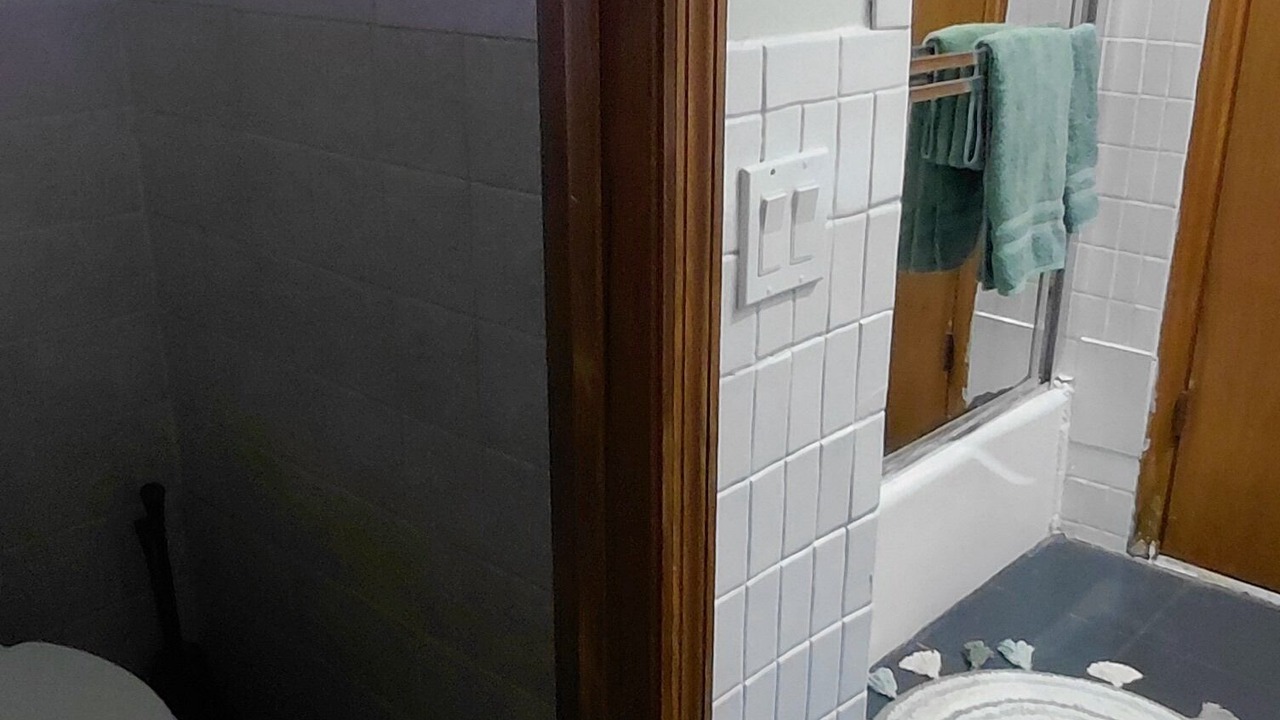 Photo of Bathroom in Port Richey