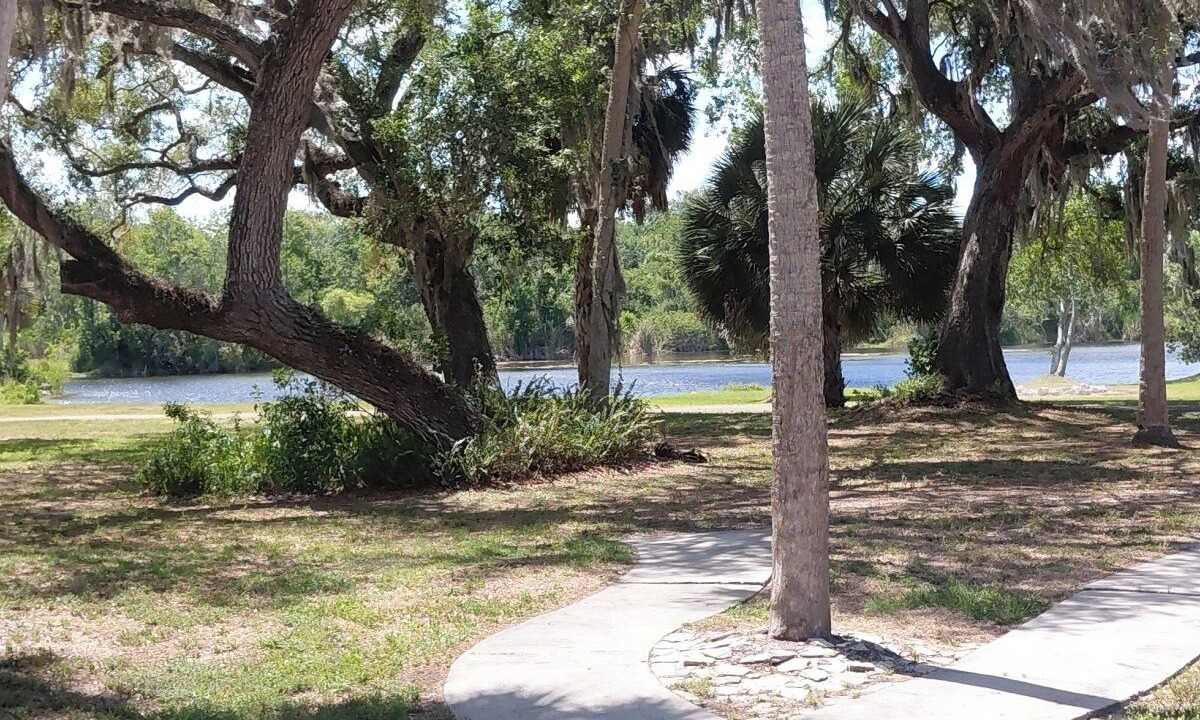 Photo of Others in Port Richey
