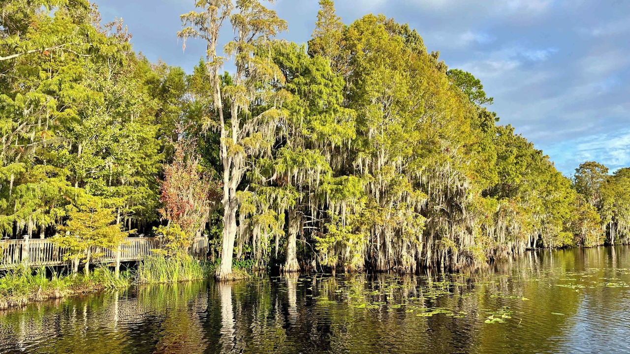 Photo of Outdoor in Florida Central Atlantic Coast