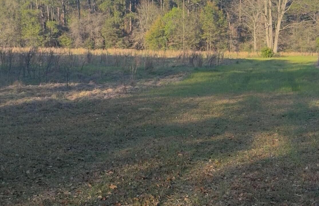 Photo of Others in Laurel Hill
