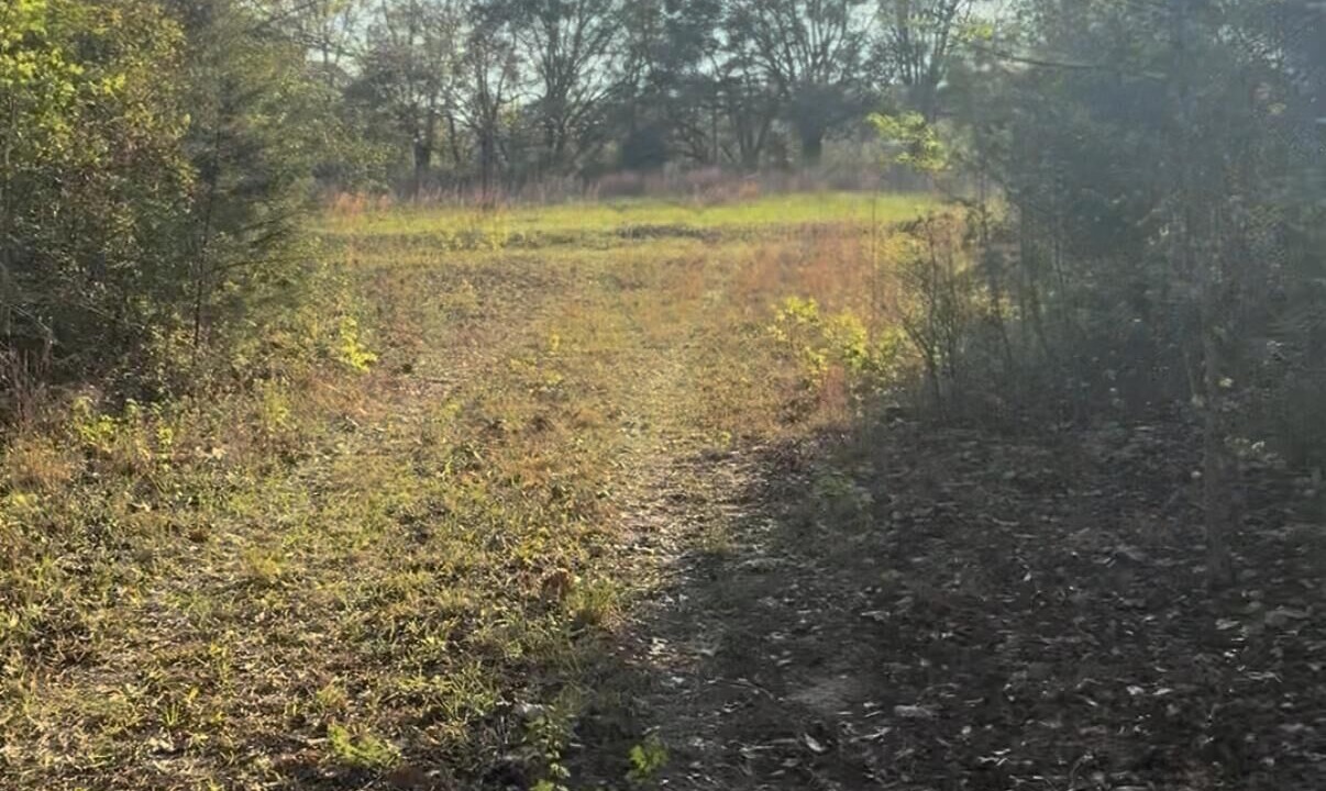Photo of Others in Laurel Hill