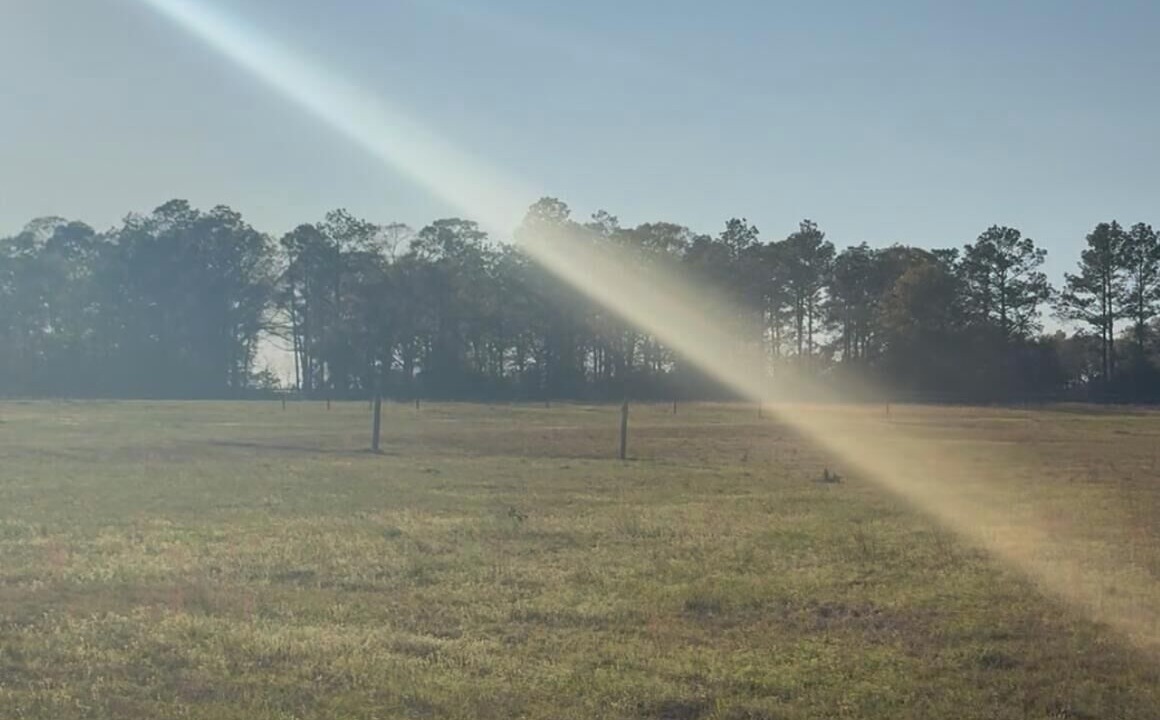 Photo of Others in Laurel Hill