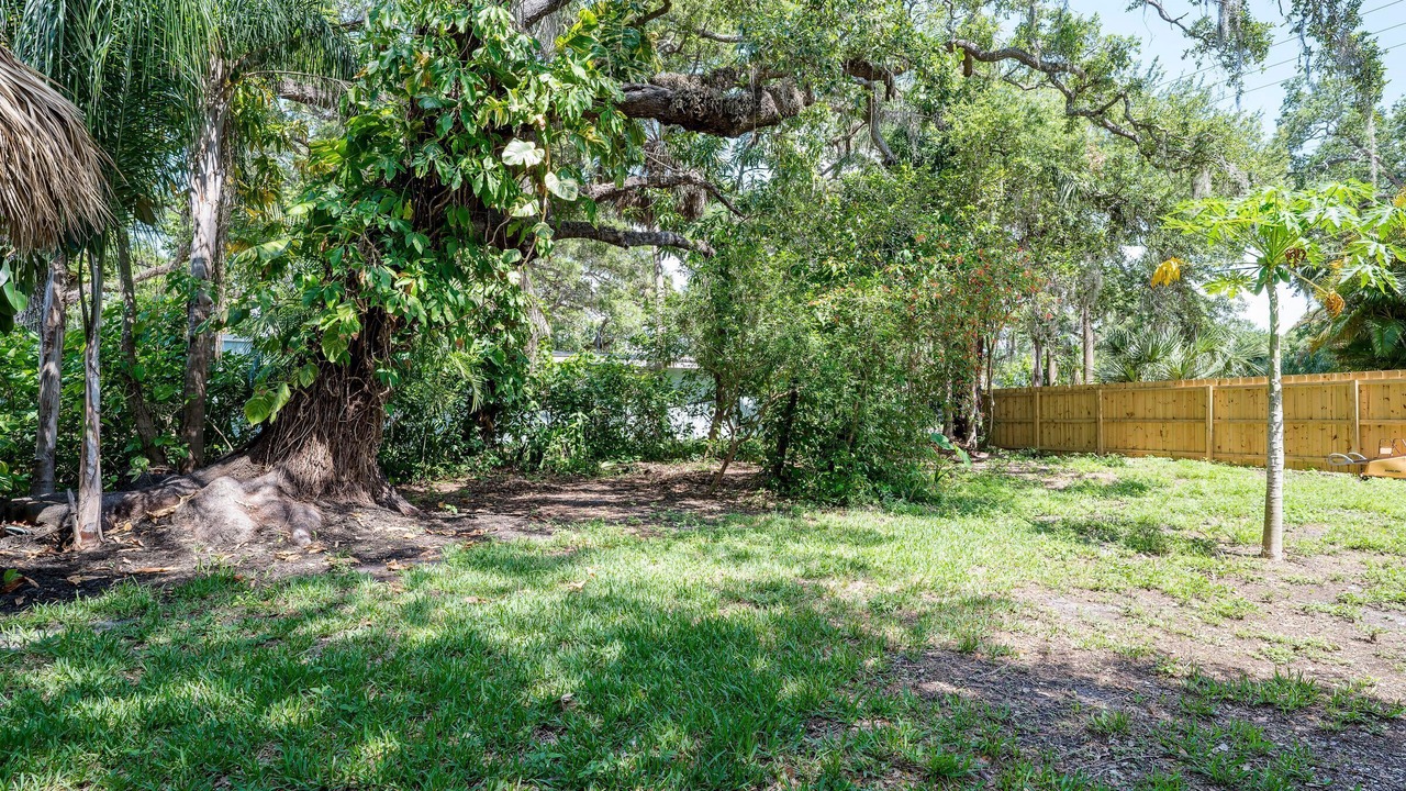Photo of Outdoor in Bayou Oaks