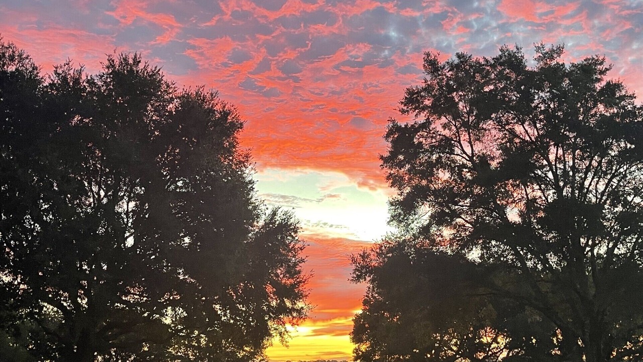 Photo of Others in Alachua