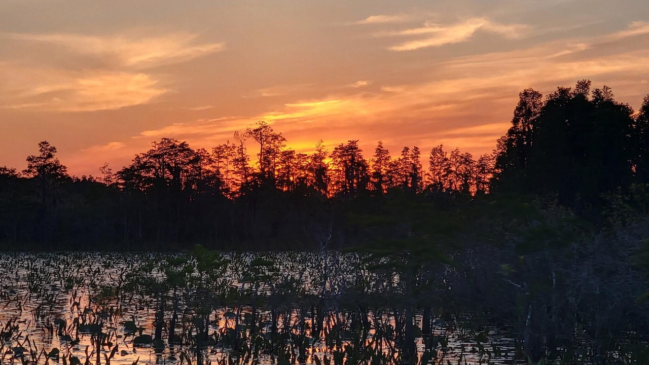 Photo of Outdoor in Folkston