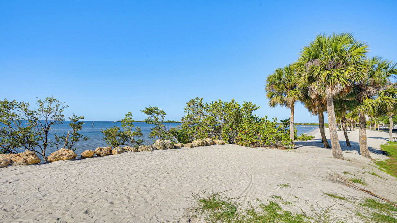 Photo of Others in Edgewater
