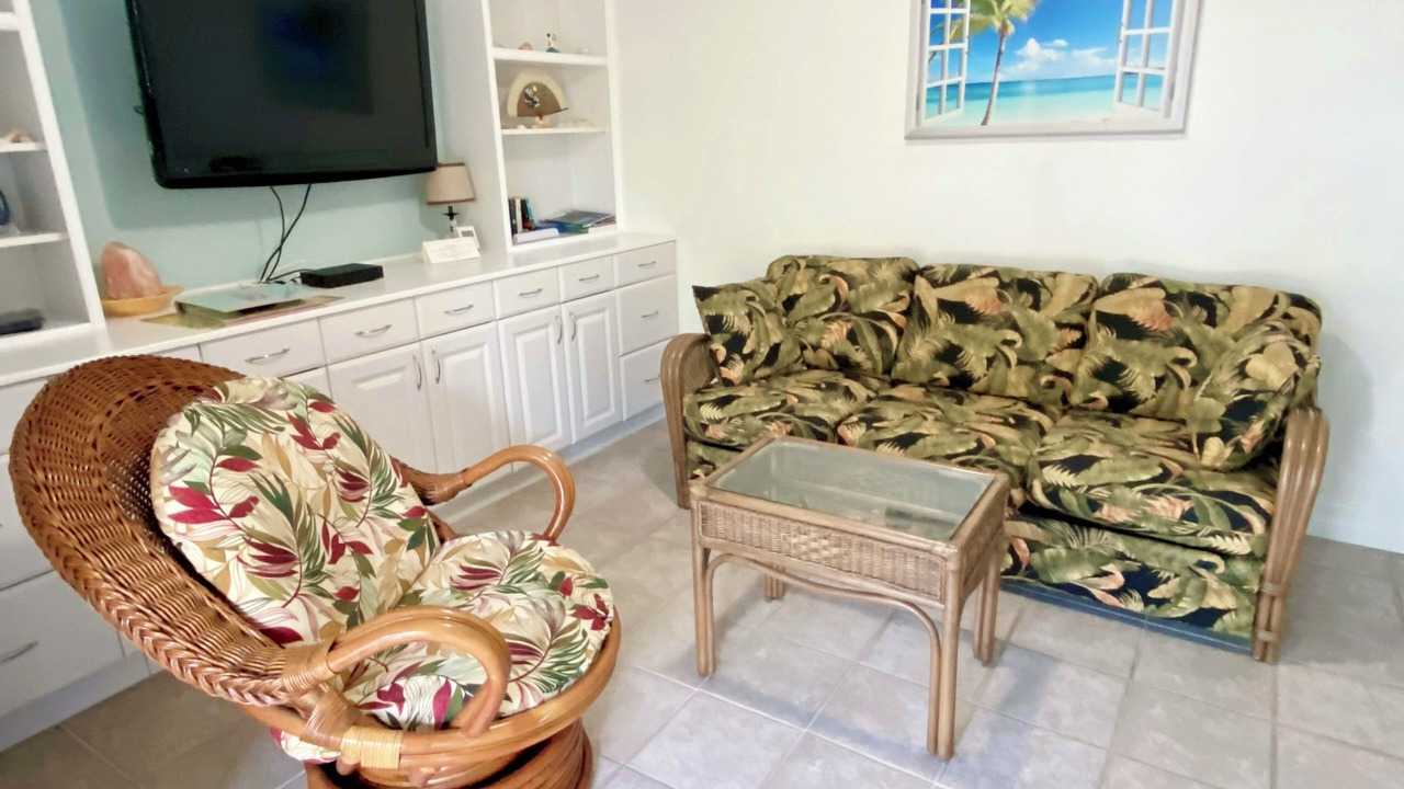 Photo of Livingroom in Tarpon Springs