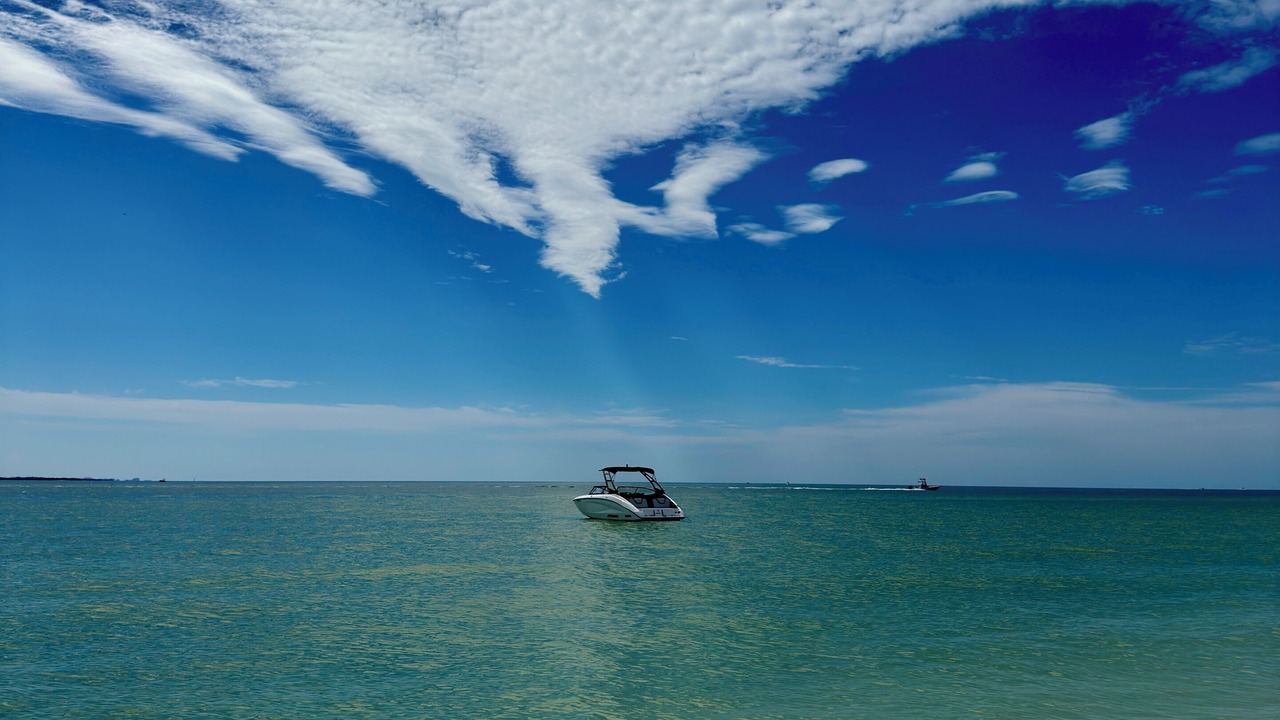 Photo of Others in Tarpon Springs
