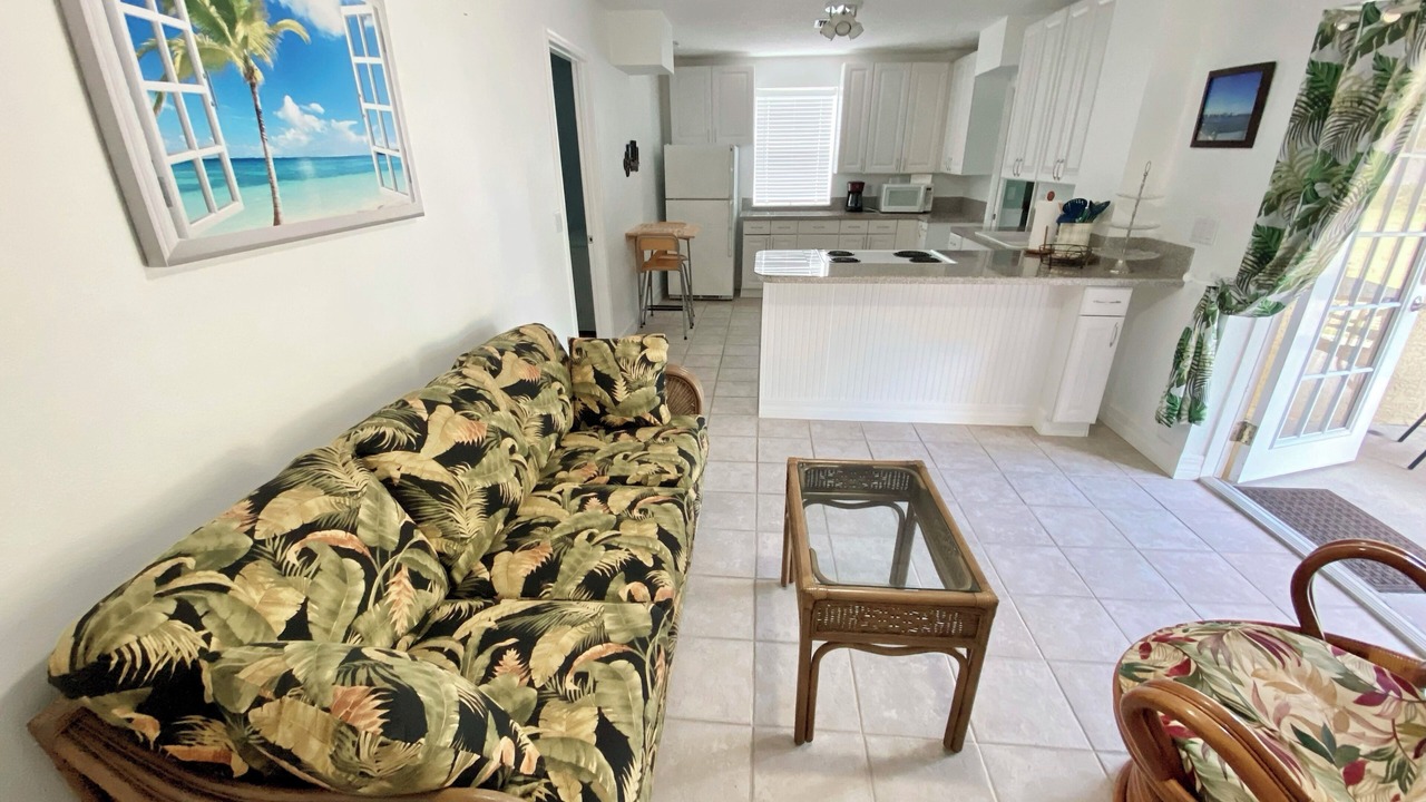 Photo of Livingroom in Tarpon Springs