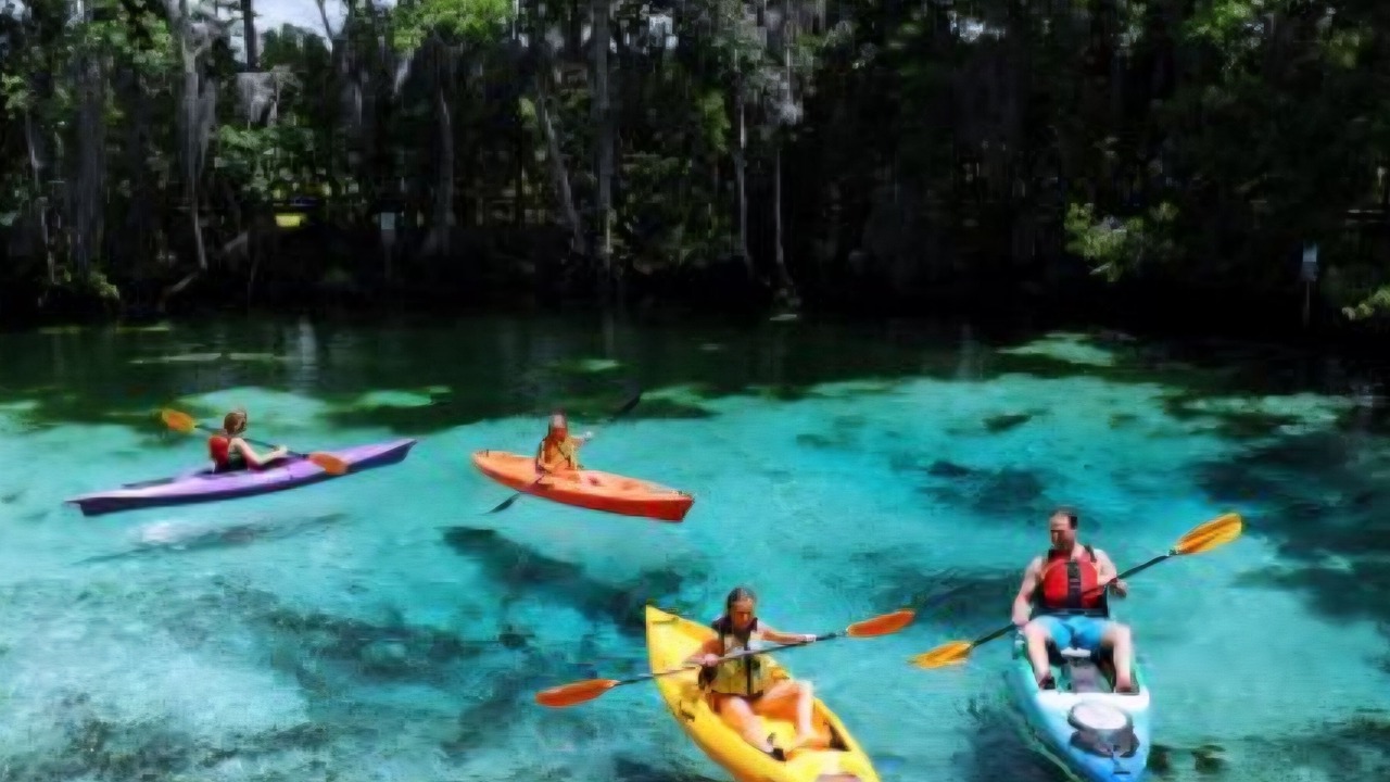 Photo of Others in Springs at Kings Bay