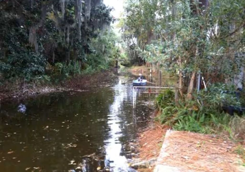 Photo of Others in Haines Creek
