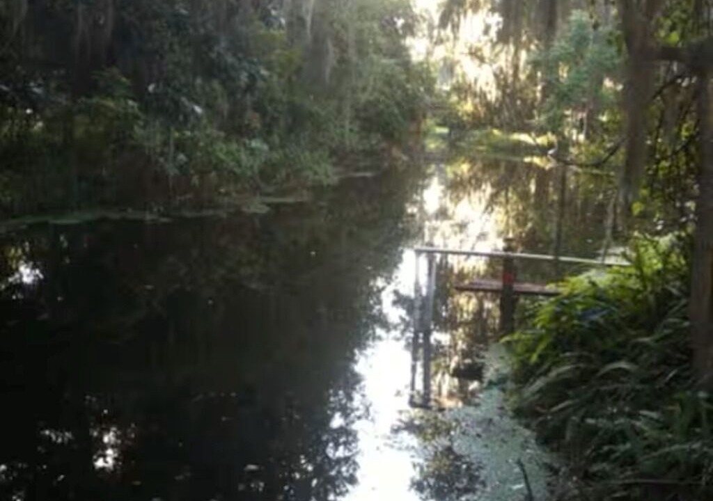 Photo of Others in Haines Creek