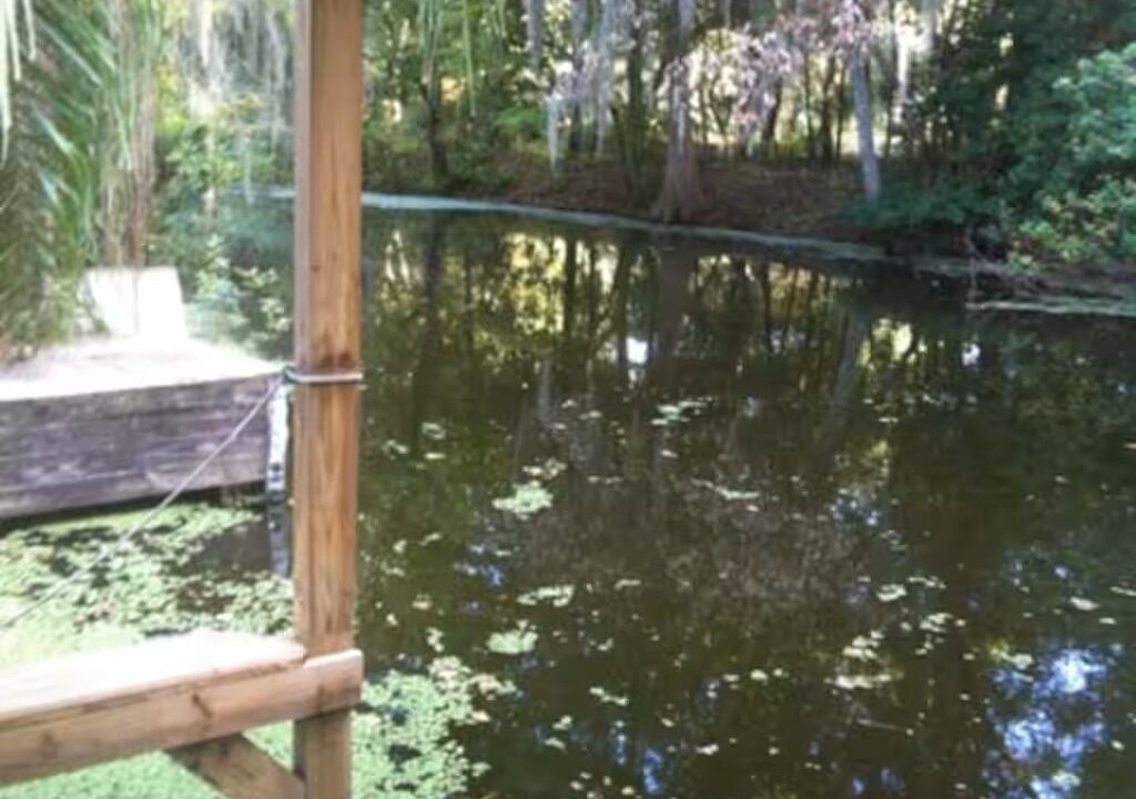 Photo of Others in Haines Creek