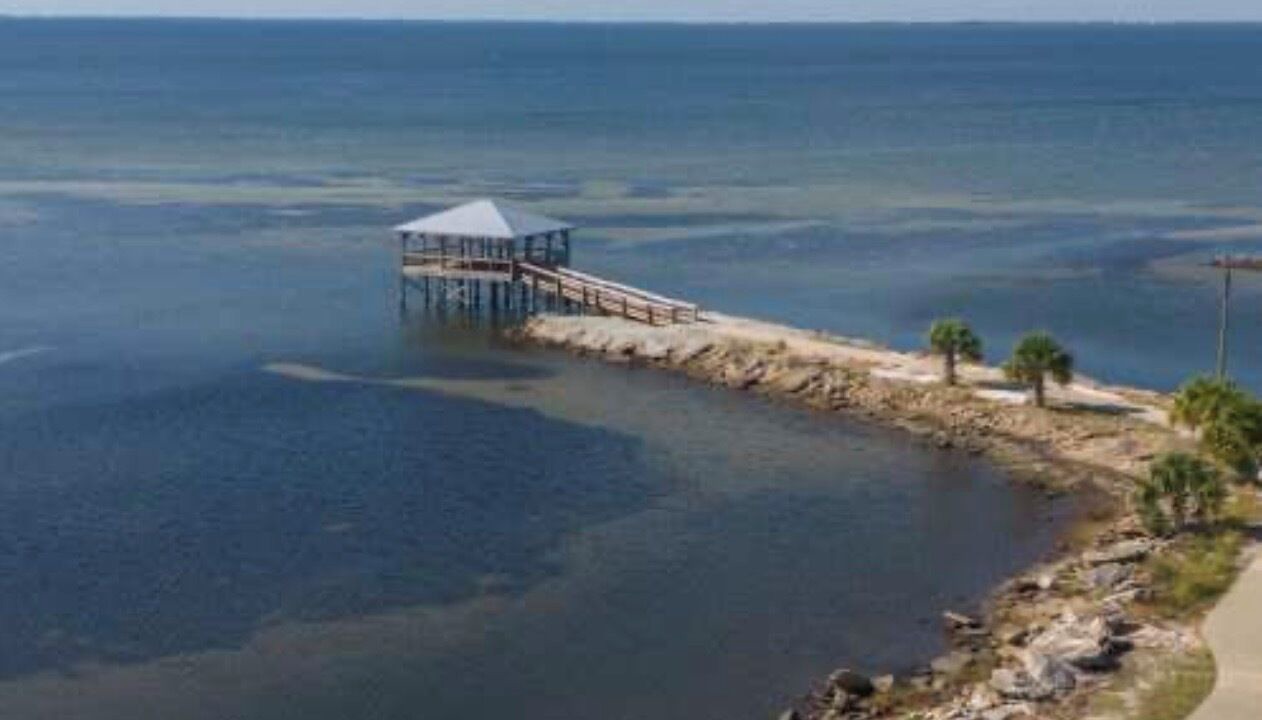Photo of Others in Port St. Joe