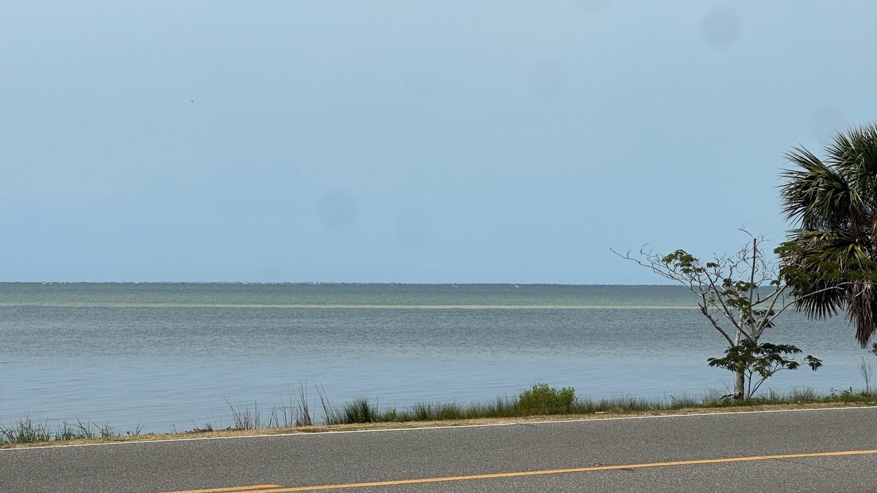Photo of Others in Port St. Joe