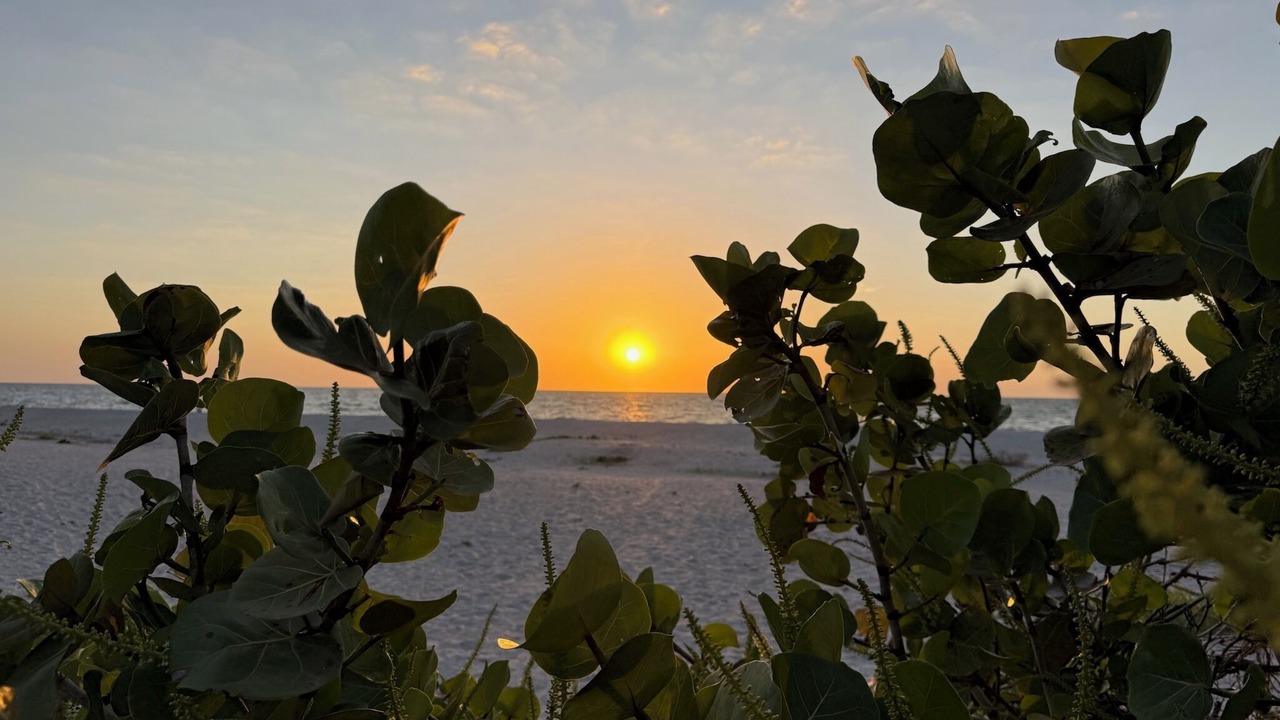 Photo of Others in North Captiva