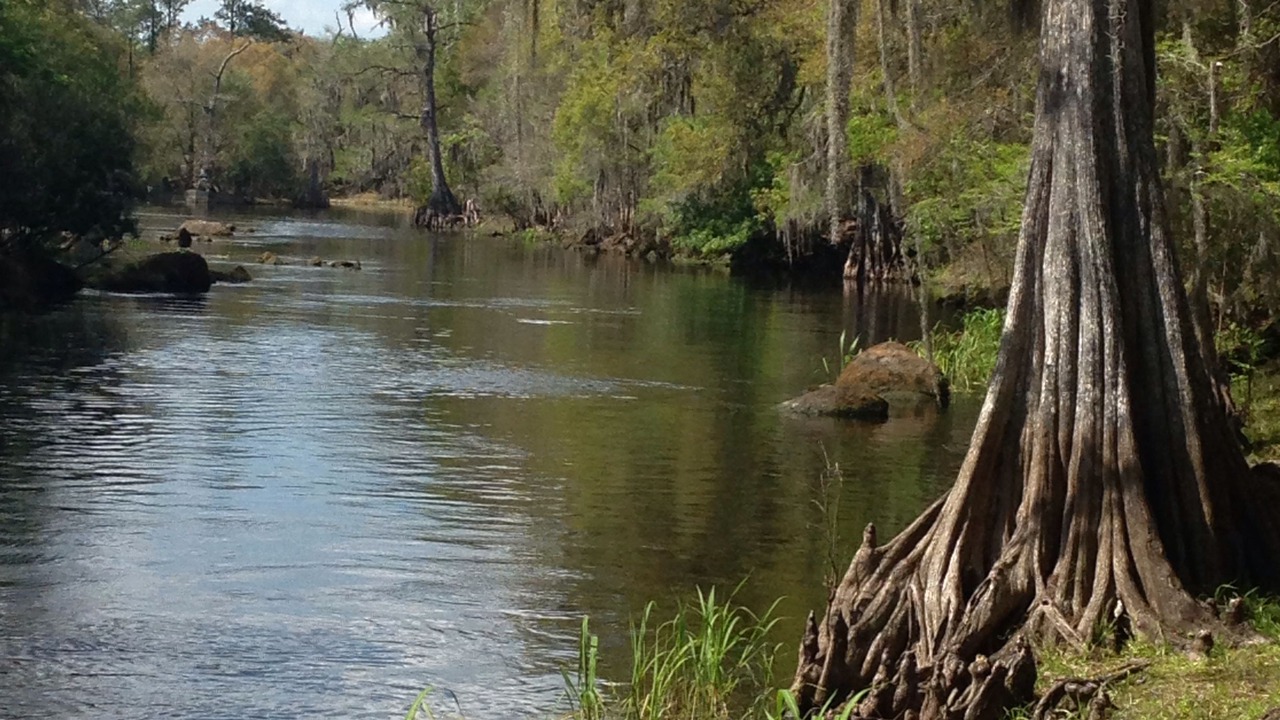 Photo of Others in Dunnellon