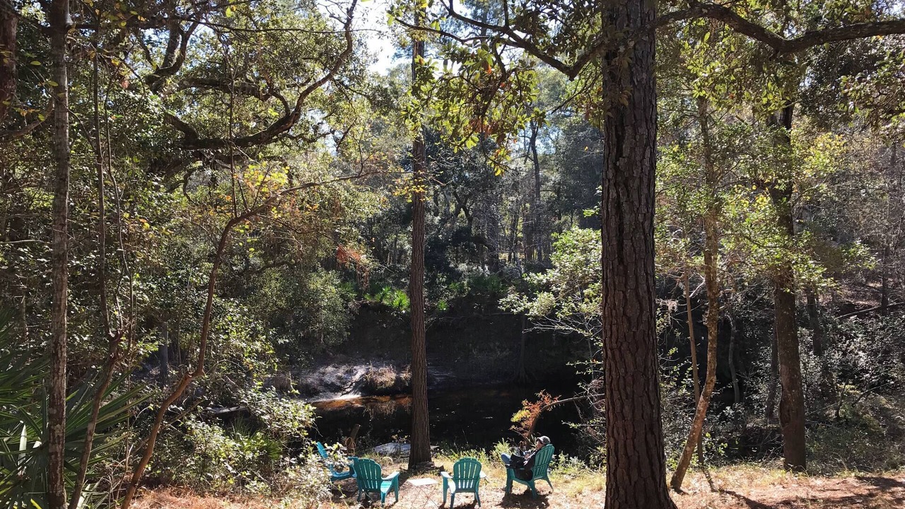 Photo of Outdoor in Sopchoppy