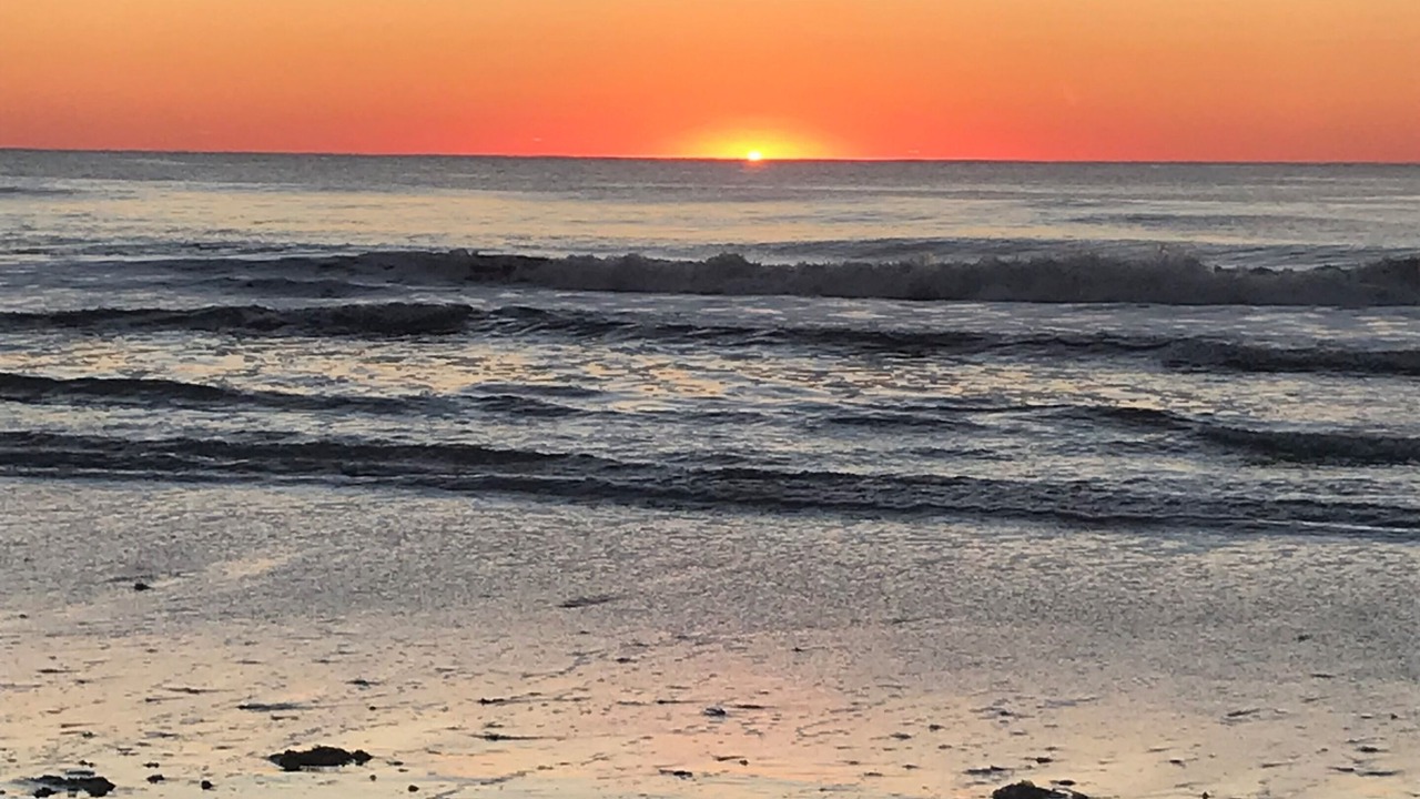 Photo of Others in Brigantine