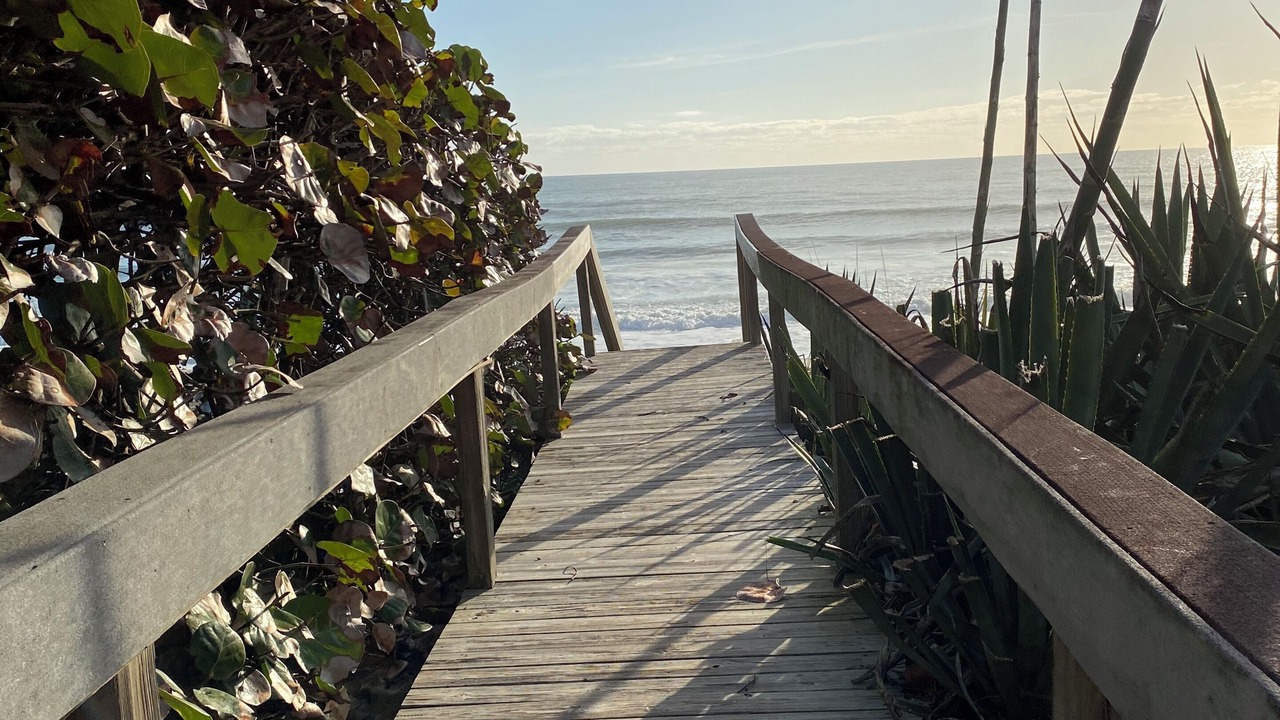 Photo of Others in Indialantic