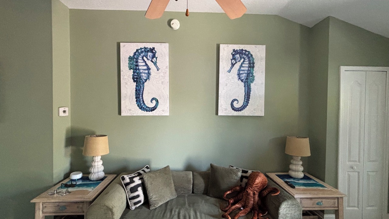 Photo of Livingroom in Tarpon Springs