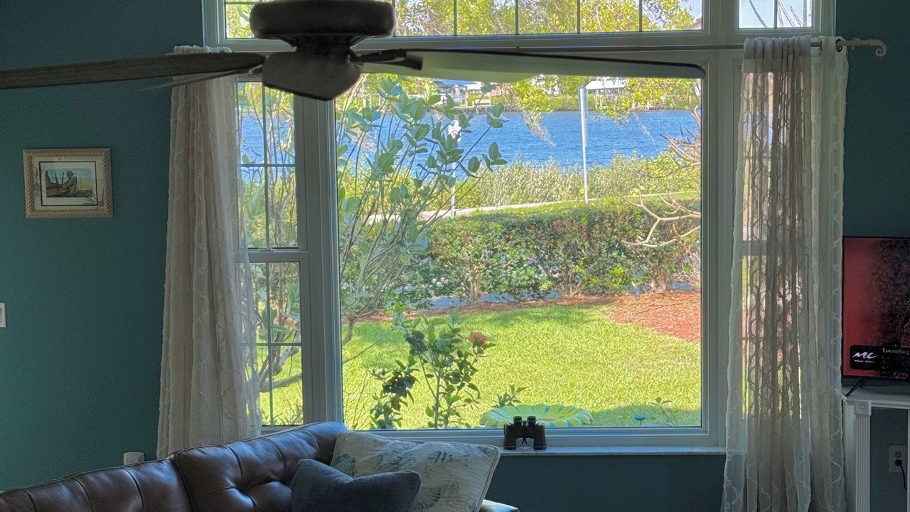 Photo of Livingroom in Tarpon Springs