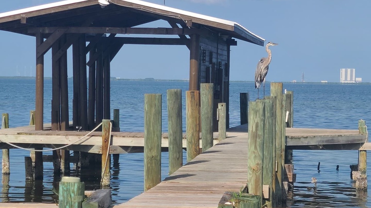 Photo of Outdoor in Indian River Residence