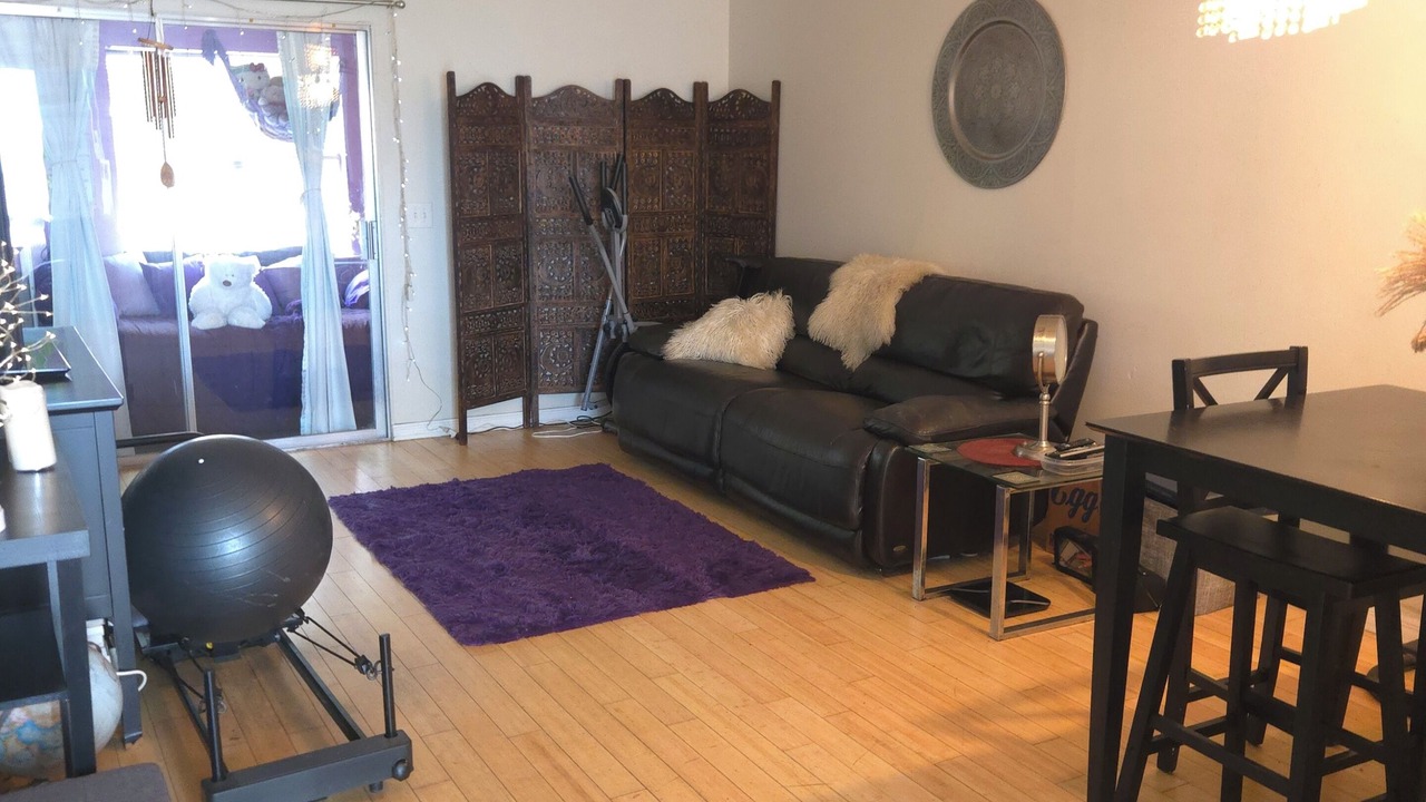 Photo of Livingroom in Palm Harbor