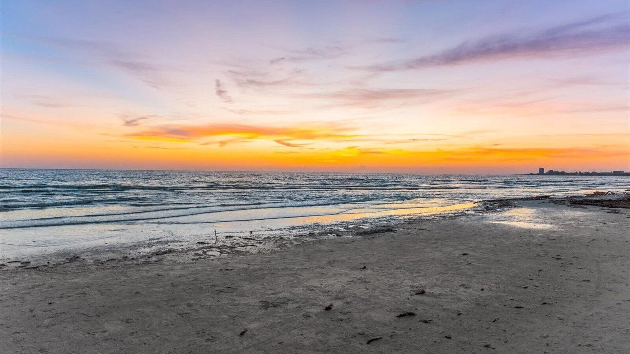 Photo of Others in Siesta Key