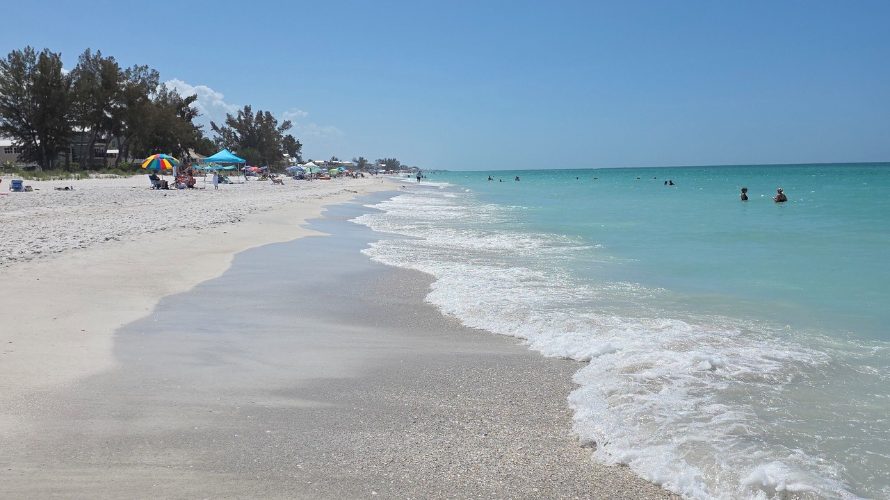 Photo of Others in Anna Maria