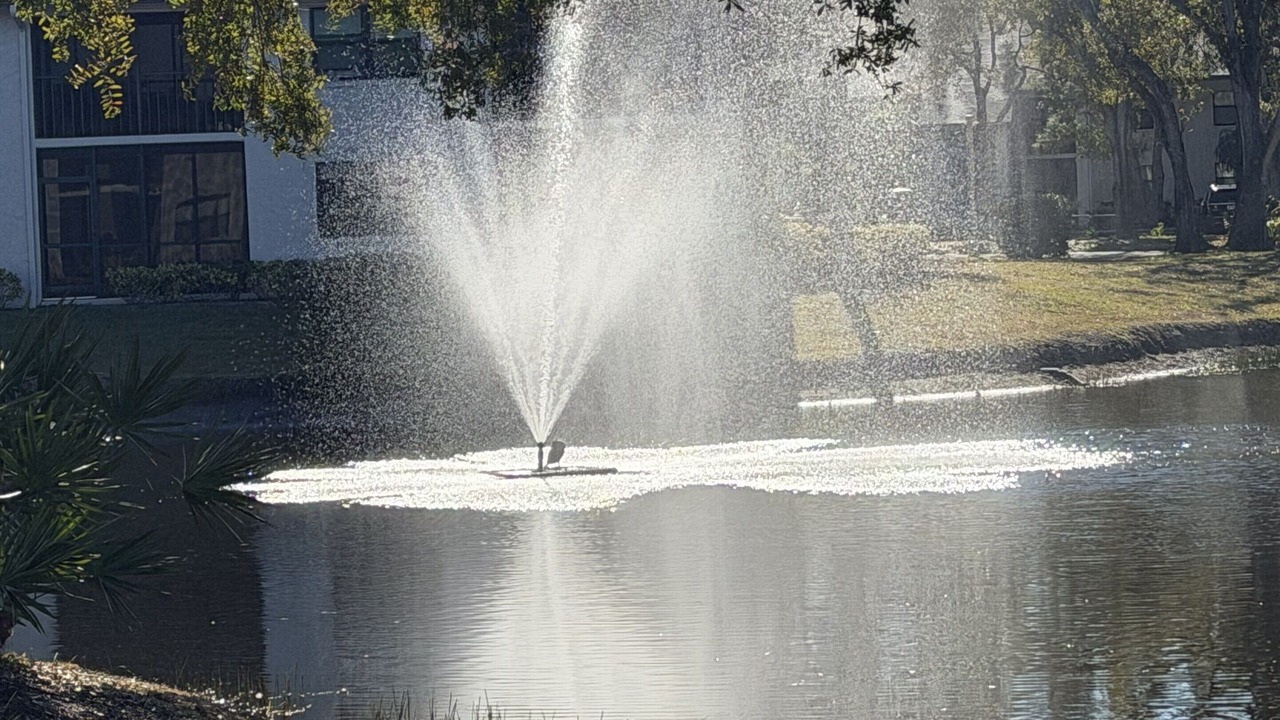 Photo of Outdoor in South Bradenton