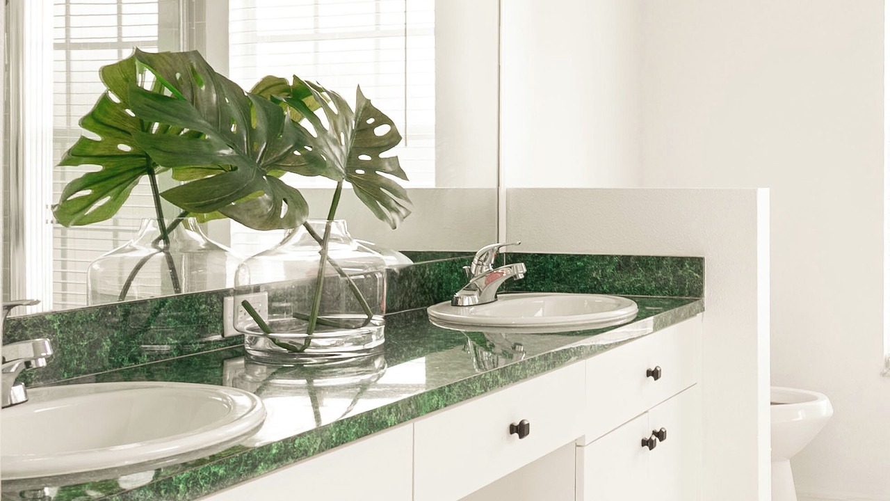 Photo of Bathroom in Brooksville