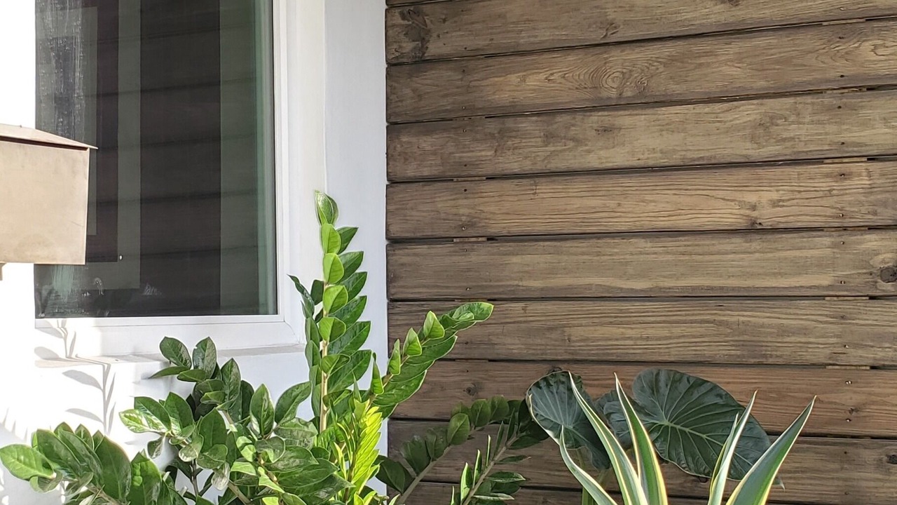 Photo of Outdoor in North Miami Beach