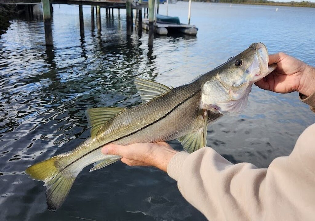 Photo of Others in Crystal River