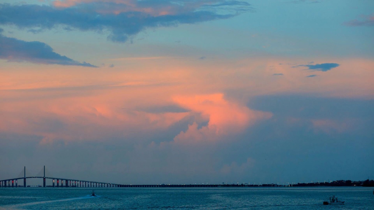 Photo of Others in Pinellas Point