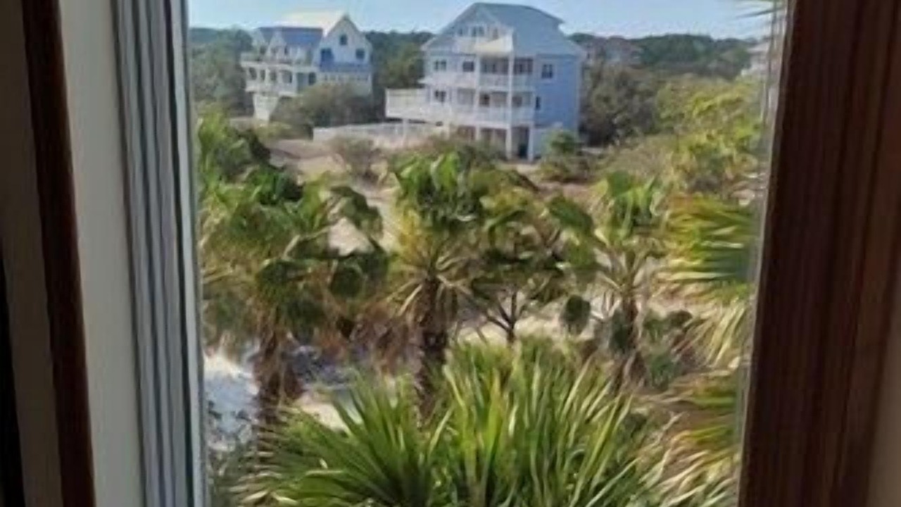 Photo of Others in Magnolia Bluffs