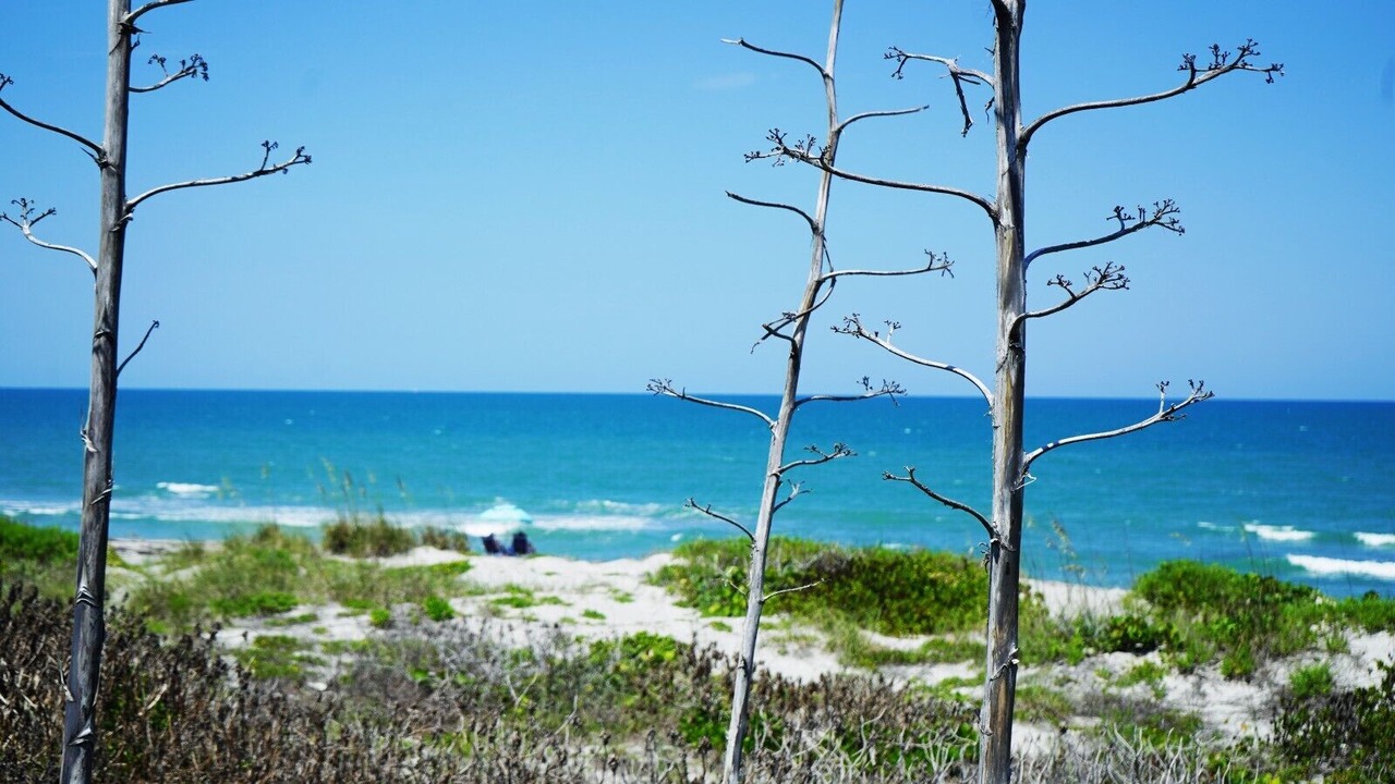 Photo of Others in Crescent Beach